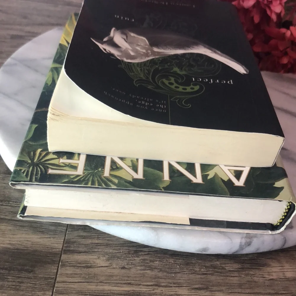 MERRICK Anne Rice & PERFECT RUIN Lauren Destefano hardcover paperback books